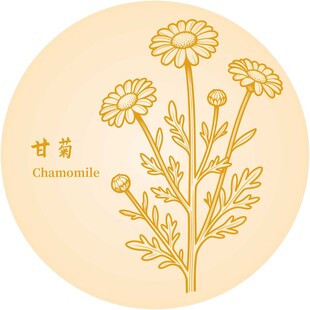 甘菊图案设计
