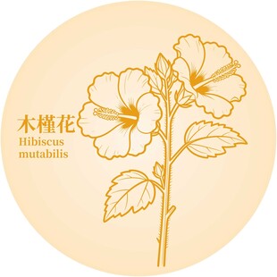 木槿花图案设计