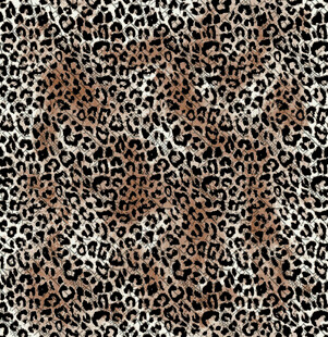 豹纹图案纹理