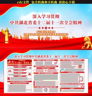 湖北省委十二届十一次全会