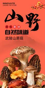 野生菌 蘑菇海报