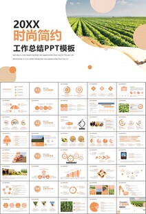 大豆种植产业工作总结年终汇报