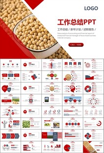大豆种植产业工作总结年终汇报