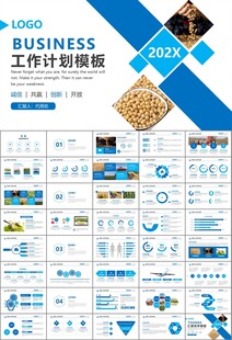 大豆种植产业工作总结年终汇报