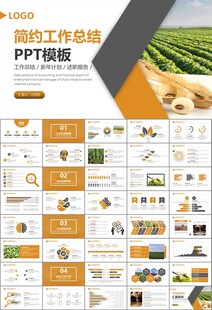 大豆种植产业工作总结年终汇报
