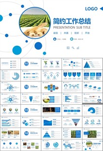 大豆种植产业工作总结年终汇报