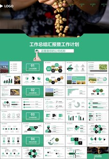 大豆种植产业工作总结年终汇报