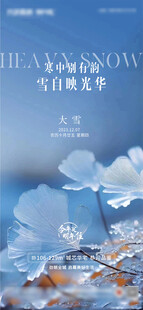 大雪小雪节气海报