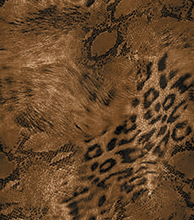 豹纹皮革纹理特写