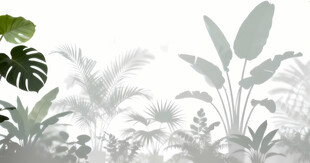 雾气磨砂膜效果绿植贴图