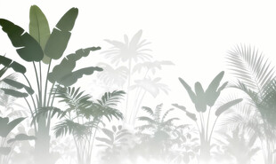 雾气磨砂膜效果绿植贴图