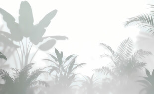 雾气磨砂膜效果绿植贴图