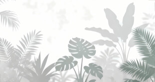 雾气磨砂膜效果绿植贴图