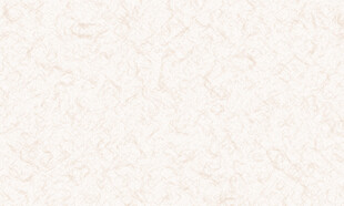 米白色纹理背景图