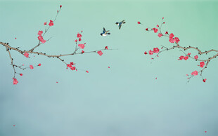 新中式工笔花鸟梅花