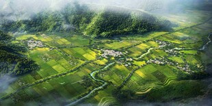 俯瞰翠绿乡村田园美景