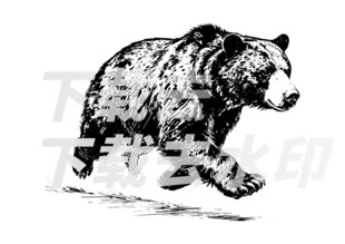 矢量手绘线描黑熊图