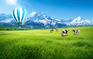 蓝天白云大草原