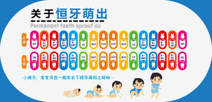 儿童牙齿萌出时间表