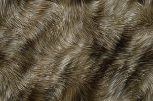 高清质感动物毛发纹理