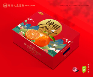 芦柑包装 椪柑礼盒