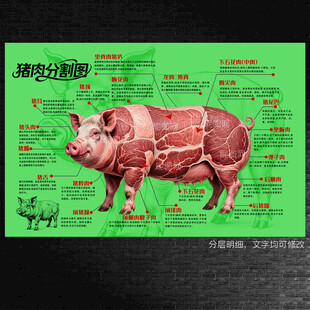 猪肉分割图