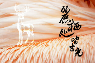 鹿羽毛挂画装饰画