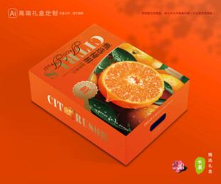 芦柑包装 椪柑礼盒