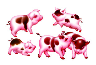 可爱粉色斑点猪群