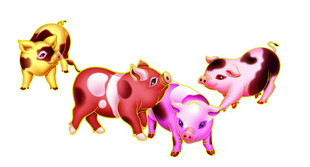 多彩小猪形象展示