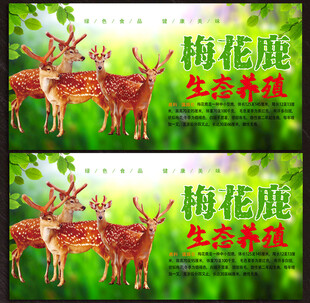 梅花鹿展板