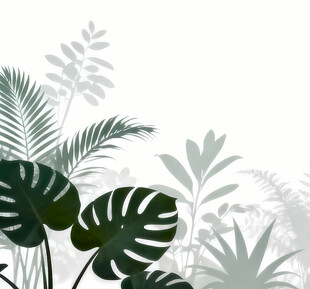 雾气磨砂膜效果绿植贴图