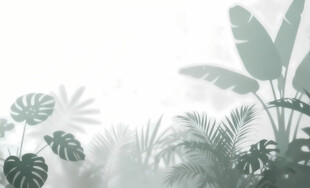 雾气磨砂膜效果绿植贴图