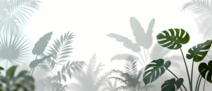 雾气磨砂膜效果绿植贴图