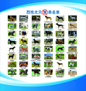烈性犬只禁养名单
