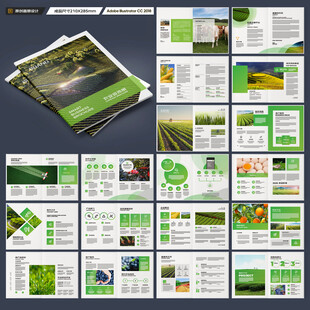农产品宣传册