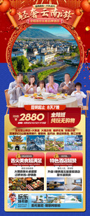 新年云南昆明昆大理春节旅游海报