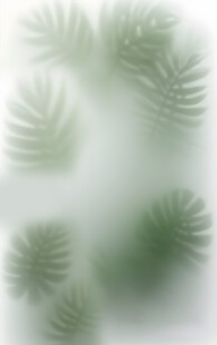 雾气磨砂膜效果绿植贴图