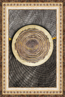 年轮纹理的精美木质圆盘