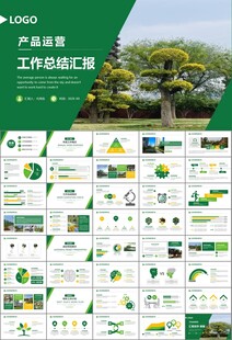 园林规划园林设计庭院ppt
