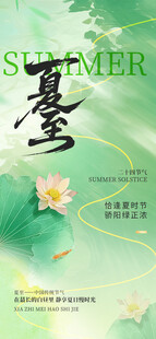 夏日墨韵荷花图