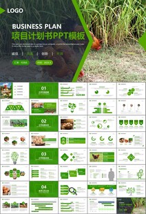 绿色生态农家鸡舍家禽养殖PPT