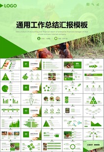 绿色生态农家鸡舍家禽养殖PPT