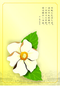 清新白色花朵插画