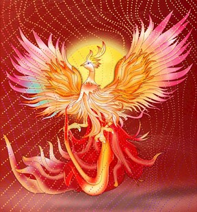 凤凰鸟 涅槃重生