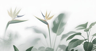 雾气磨砂膜效果绿植贴图