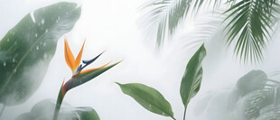 雾气磨砂膜效果绿植贴图