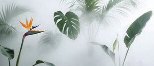 雾气磨砂膜效果绿植贴图