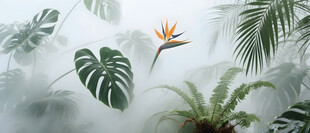 雾气磨砂膜效果绿植贴图