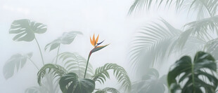 雾气磨砂膜效果绿植贴图